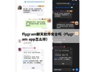 flygram聊天软件安全吗（flygram app怎么样）