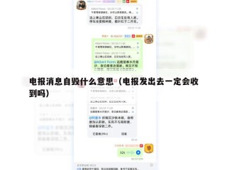 电报消息自毁什么意思（电报发出去一定会收到吗）