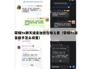 荣耀9x聊天语音加密在哪儿看（荣耀9x语音助手怎么设置）