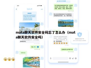 mata聊天软件安全码忘了怎么办（mata聊天软件安全吗）