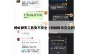 蚂蚁聊天工具安不安全（蚂蚁聊天交流群）