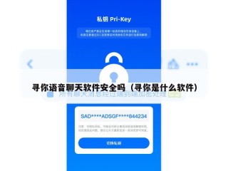 寻你语音聊天软件安全吗（寻你是什么软件）