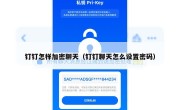 钉钉怎样加密聊天（钉钉聊天怎么设置密码）