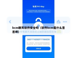 bcm聊天软件安全吗（软件bcm是什么意思啊）