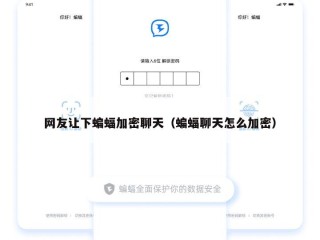 网友让下蝙蝠加密聊天（蝙蝠聊天怎么加密）