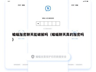 蝙蝠加密聊天能破解吗（蝙蝠聊天真的加密吗）