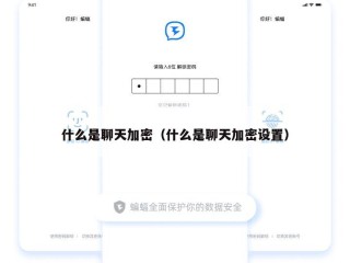 什么是聊天加密（什么是聊天加密设置）