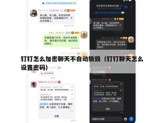 钉钉怎么加密聊天不自动销毁（钉钉聊天怎么设置密码）