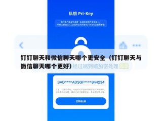 钉钉聊天和微信聊天哪个更安全（钉钉聊天与微信聊天哪个更好）