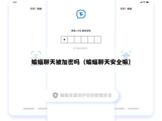 蝙蝠聊天被加密吗（蝙蝠聊天安全嘛）