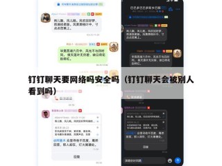 钉钉聊天要网络吗安全吗（钉钉聊天会被别人看到吗）