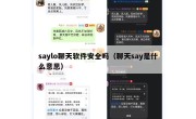 saylo聊天软件安全吗（聊天say是什么意思）