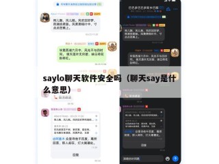 saylo聊天软件安全吗（聊天say是什么意思）