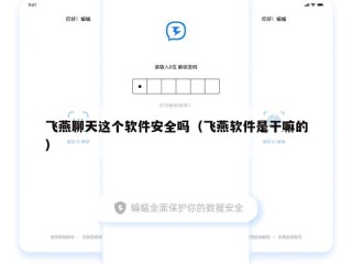 飞燕聊天这个软件安全吗（飞燕软件是干嘛的）