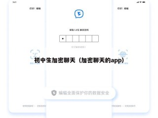 初中生加密聊天（加密聊天的app）