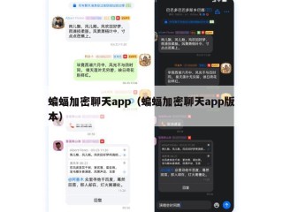 蝙蝠加密聊天app（蝙蝠加密聊天app版本）