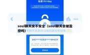 soul聊天安不安全（soul聊天会被监控吗）