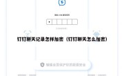 钉钉聊天记录怎样加密（钉钉聊天怎么加密）