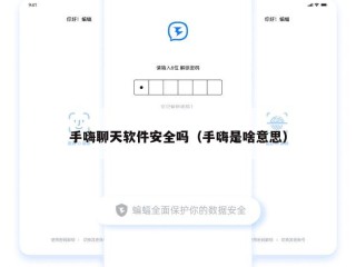 手嗨聊天软件安全吗（手嗨是啥意思）
