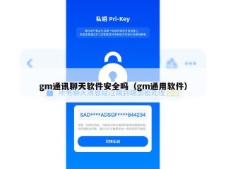 gm通讯聊天软件安全吗（gm通用软件）