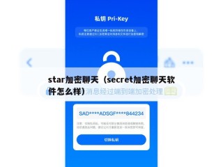 star加密聊天（secret加密聊天软件怎么样）