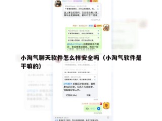 小淘气聊天软件怎么样安全吗（小淘气软件是干嘛的）