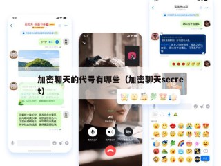 加密聊天的代号有哪些（加密聊天secret）