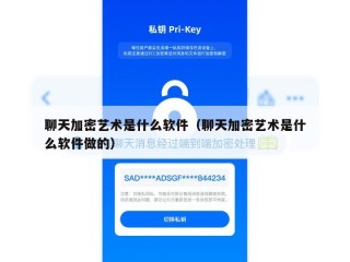 聊天加密艺术是什么软件（聊天加密艺术是什么软件做的）