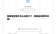 畅聊加密聊天怎么设置不了（畅聊通话如何设置）