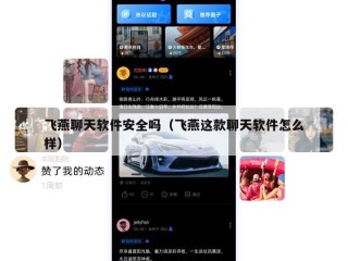 飞燕聊天软件安全吗（飞燕这款聊天软件怎么样）