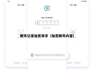 聊天记录加密货币（加密聊天内容）