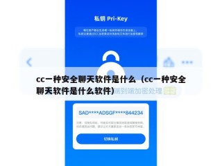 cc一种安全聊天软件是什么（cc一种安全聊天软件是什么软件）