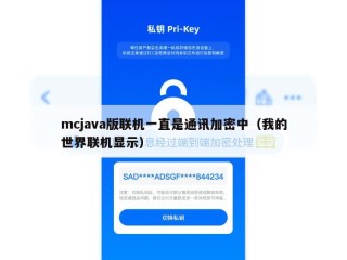 mcjava版联机一直是通讯加密中（我的世界联机显示）
