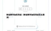 微信聊天加密发送（微信聊天加密发送怎么取消）