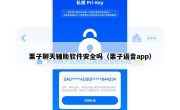 栗子聊天辅助软件安全吗（栗子语音app）