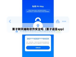 栗子聊天辅助软件安全吗（栗子语音app）