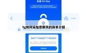 tg如何设加密聊天的简单介绍