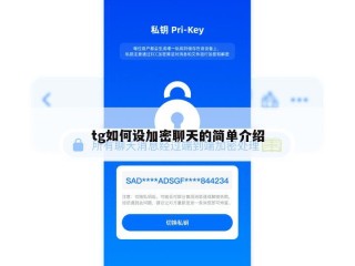 tg如何设加密聊天的简单介绍