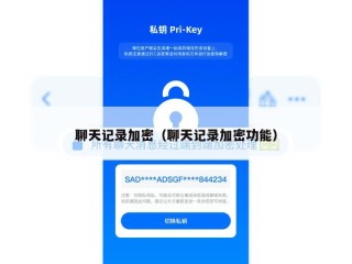 聊天记录加密（聊天记录加密功能）