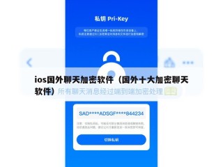 ios国外聊天加密软件（国外十大加密聊天软件）