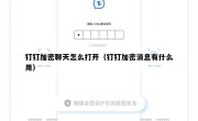 钉钉加密聊天怎么打开（钉钉加密消息有什么用）