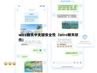 wire聊天中文版安全性（wire聊天软件）