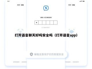 打开语音聊天好吗安全吗（打开语音app）