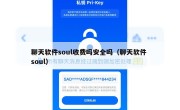 聊天软件soul收费吗安全吗（聊天软件 soul）