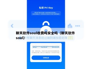 聊天软件soul收费吗安全吗（聊天软件 soul）