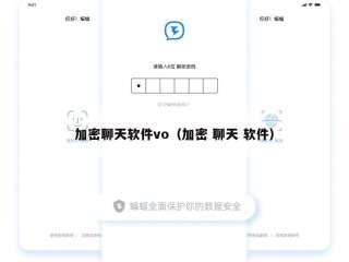 加密聊天软件vo（加密 聊天 软件）