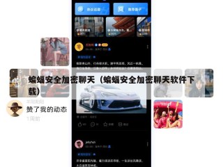 蝙蝠安全加密聊天（蝙蝠安全加密聊天软件下载）