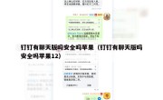 钉钉有聊天版吗安全吗苹果（钉钉有聊天版吗安全吗苹果12）