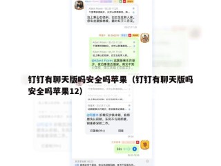 钉钉有聊天版吗安全吗苹果（钉钉有聊天版吗安全吗苹果12）