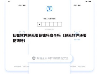 社交软件聊天要花钱吗安全吗（聊天软件还要花钱呀）
